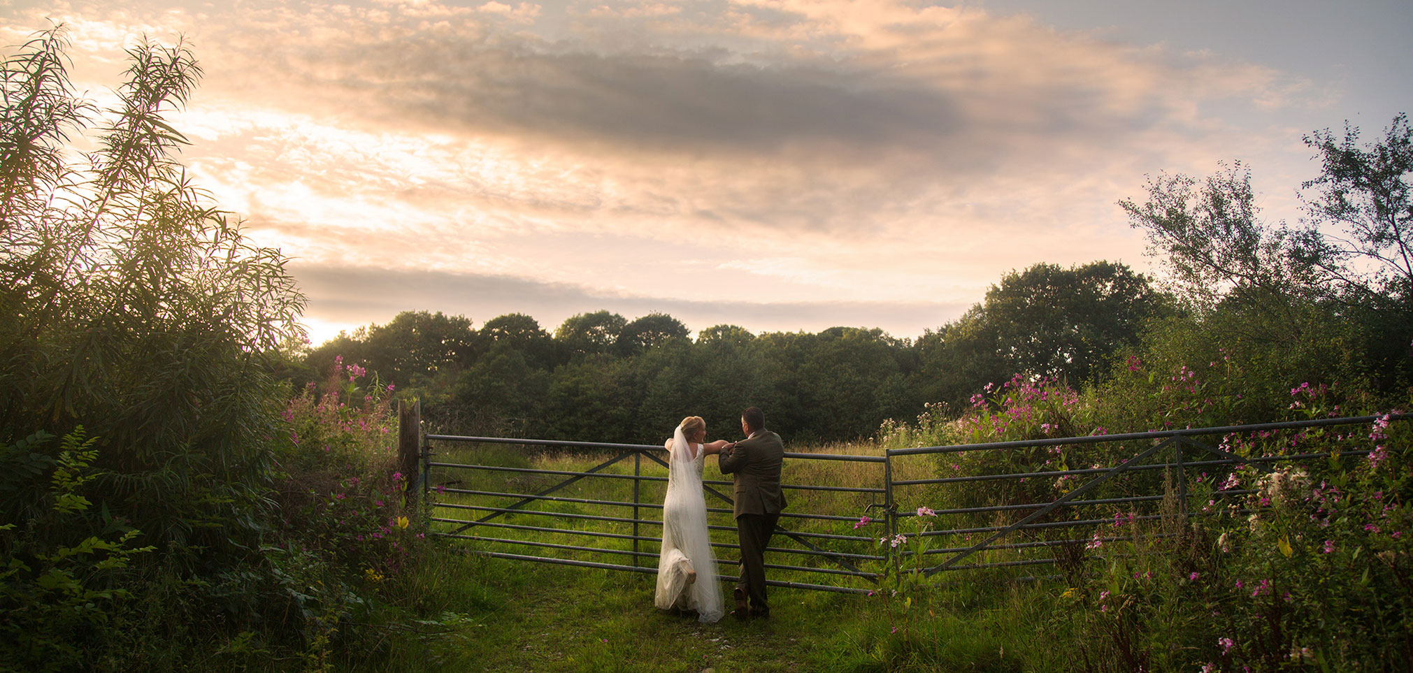 Wedding Carousel 7